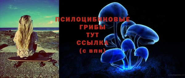 не бодяженный Вяземский